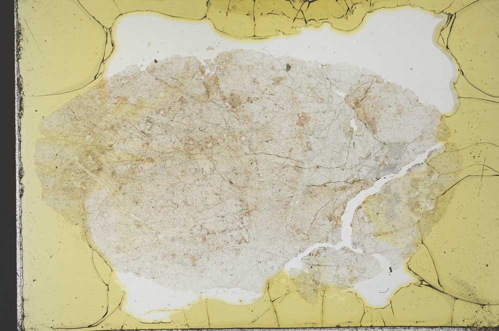 Plane Polarized, S31087