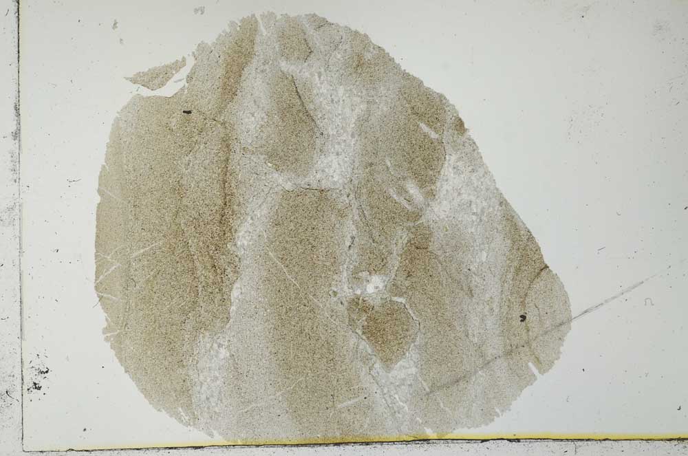 Plane Polarized, S31088