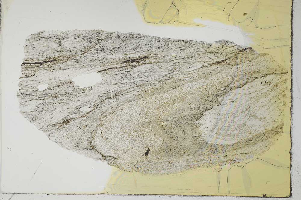 Plane Polarized, S31097