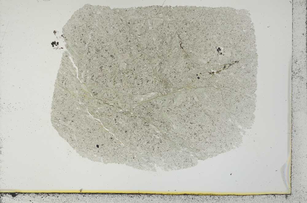 Plane Polarized, S31127