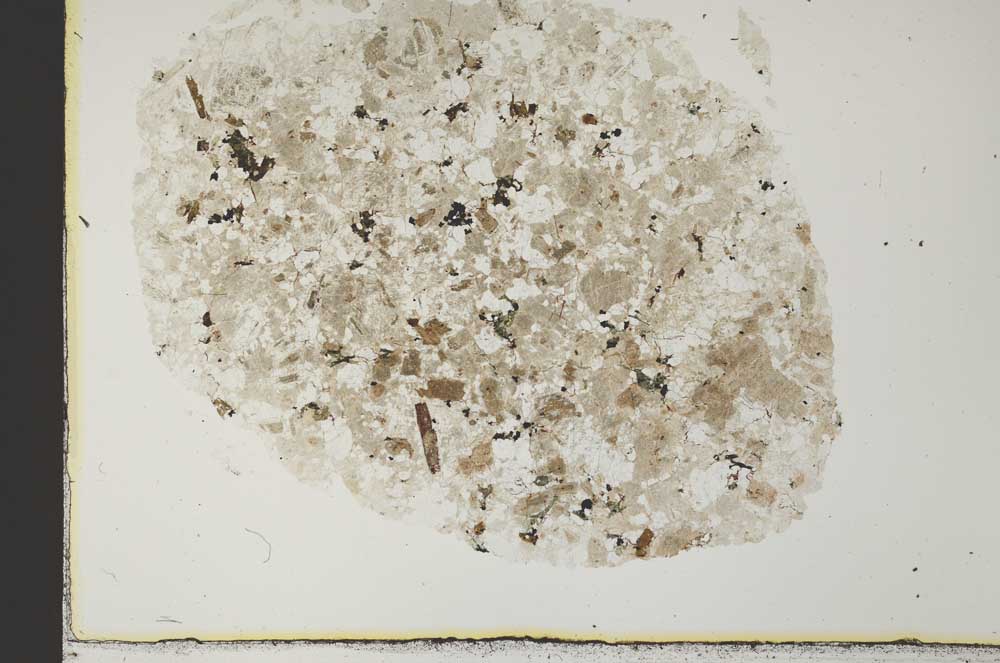 Plane Polarized, S31142