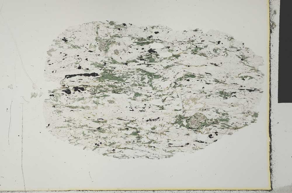 Plane Polarized, S31153