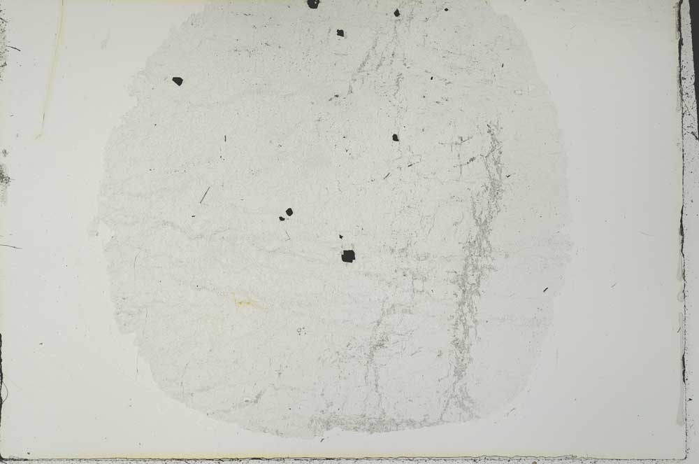 Plane Polarized, S31154
