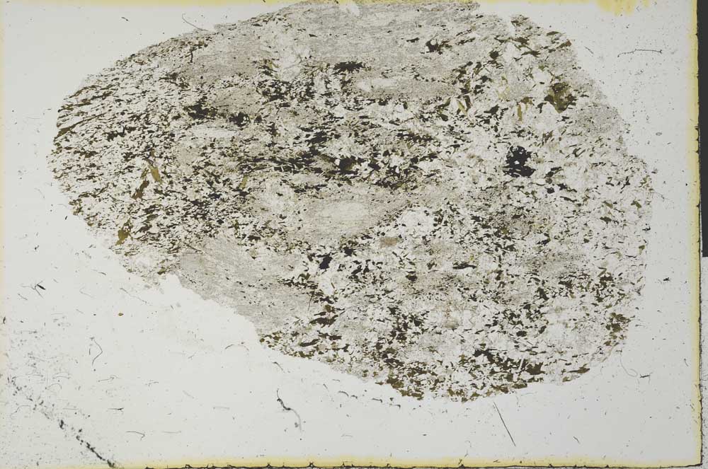 Plane Polarized, S31168