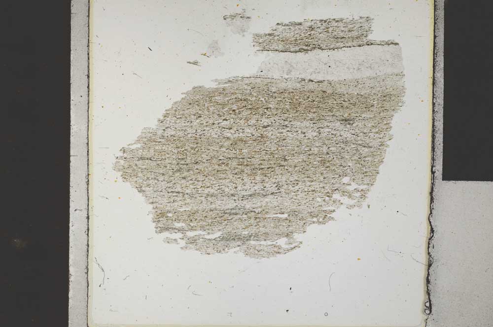 Plane Polarized, S31187