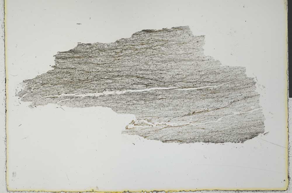 Plane Polarized, S31209