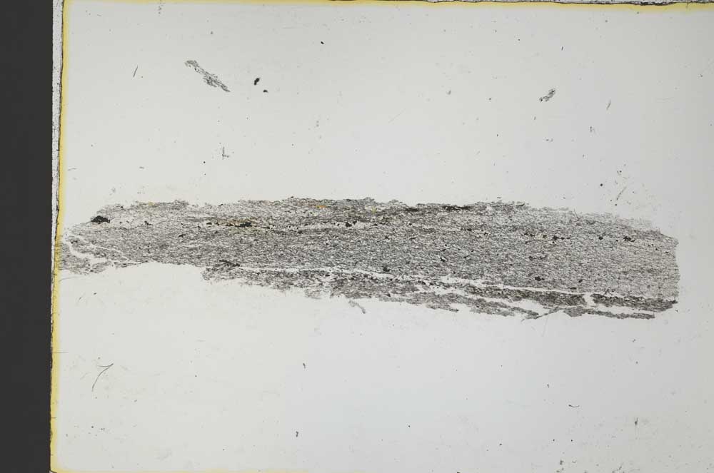 Plane Polarized, S31216