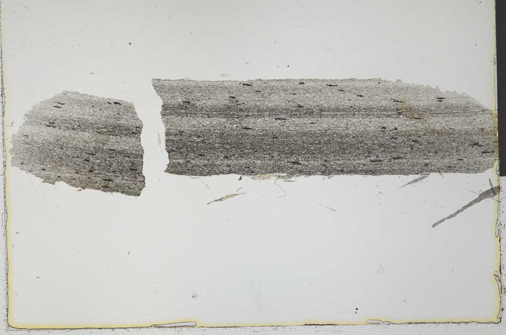 Plane Polarized, S31217