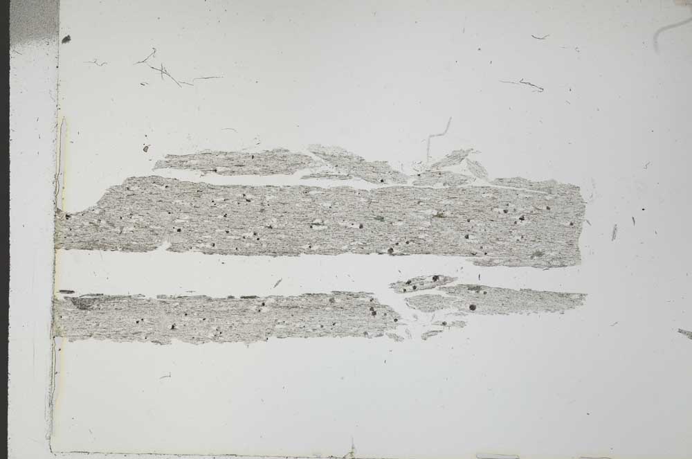 Plane Polarized, S31218