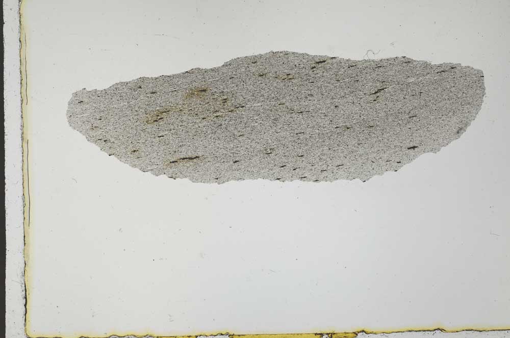 Plane Polarized, S31219