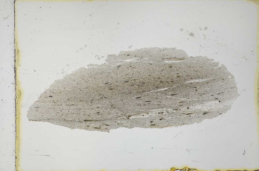 Plane Polarized, S31220