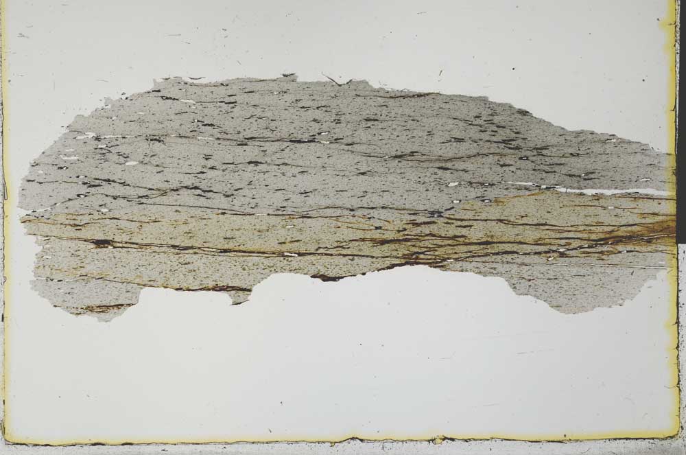 Plane Polarized, S31223