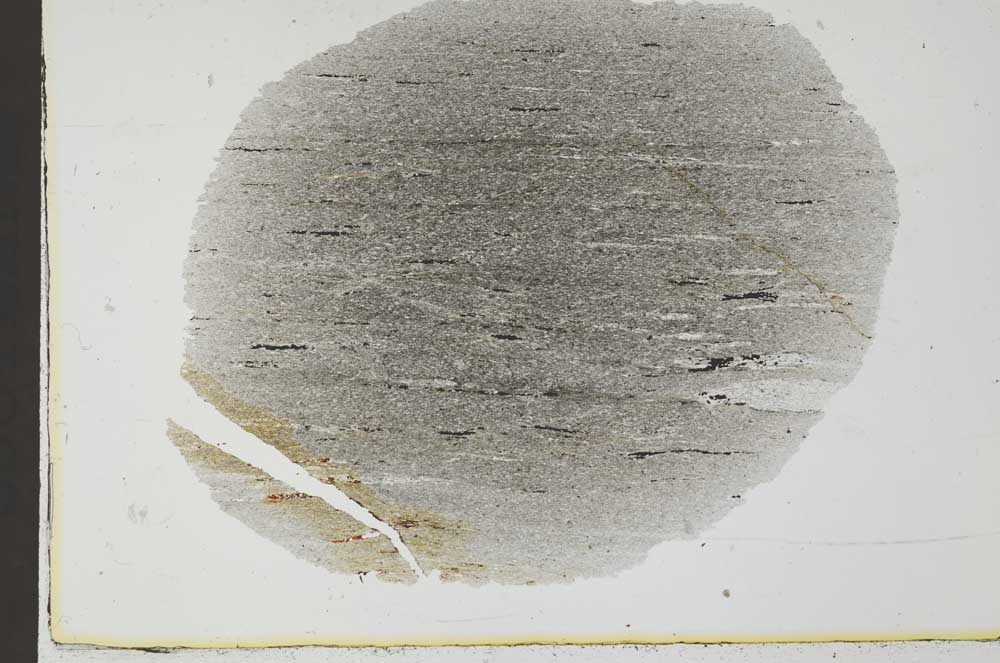 Plane Polarized, S31224