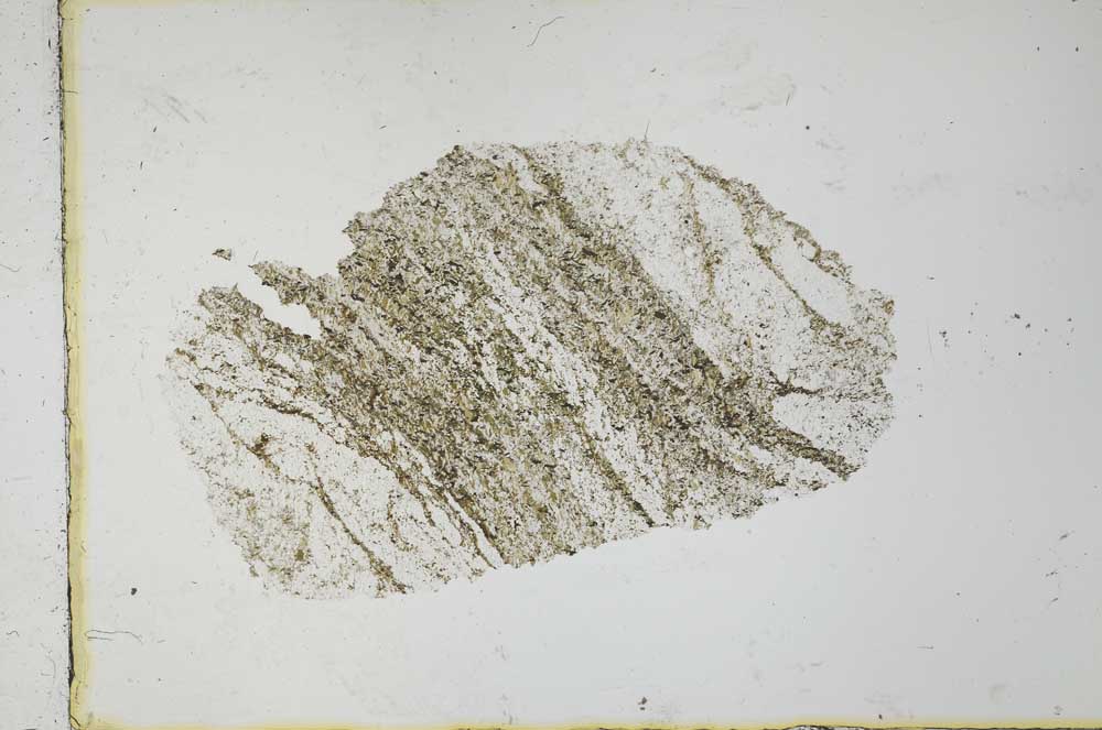 Plane Polarized, S31227