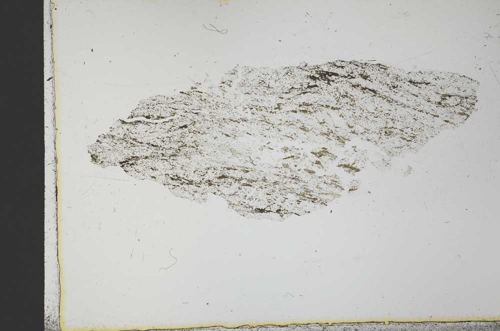 Plane Polarized, S31229