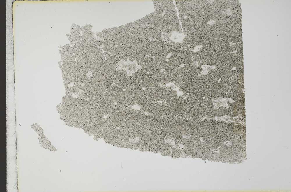 Plane Polarized, S31252