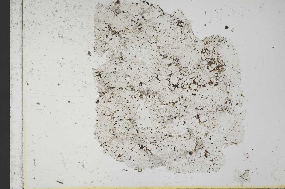 Plane Polarized, S31259