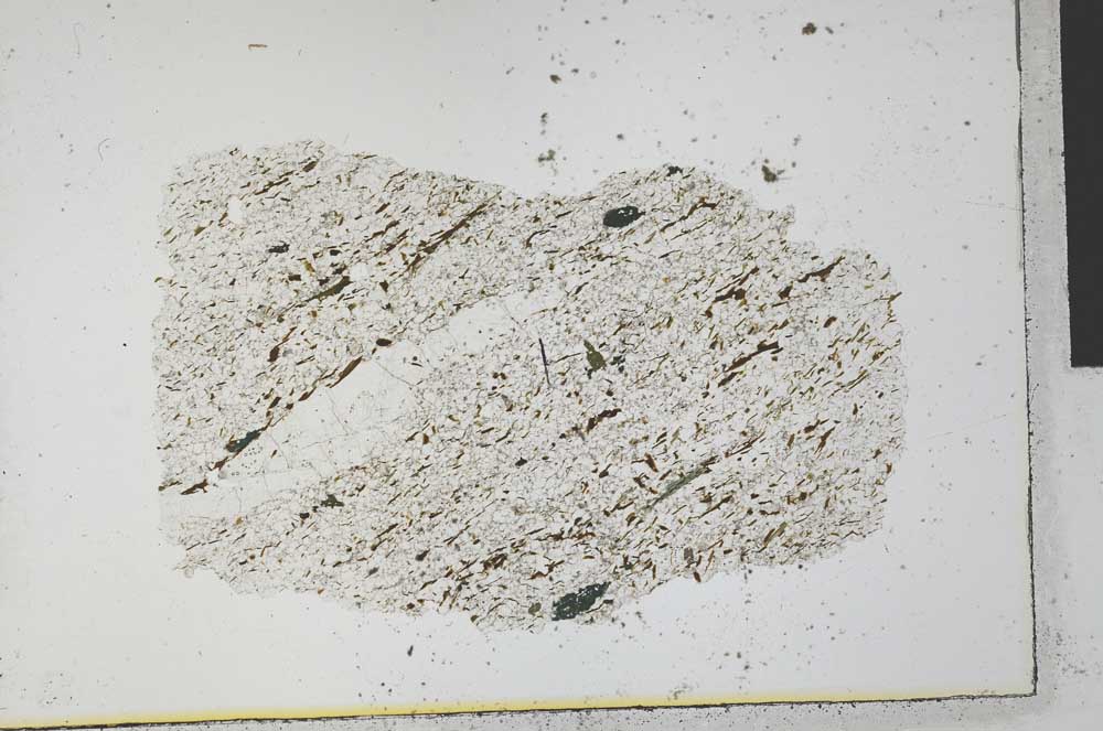 Plane Polarized, S31270