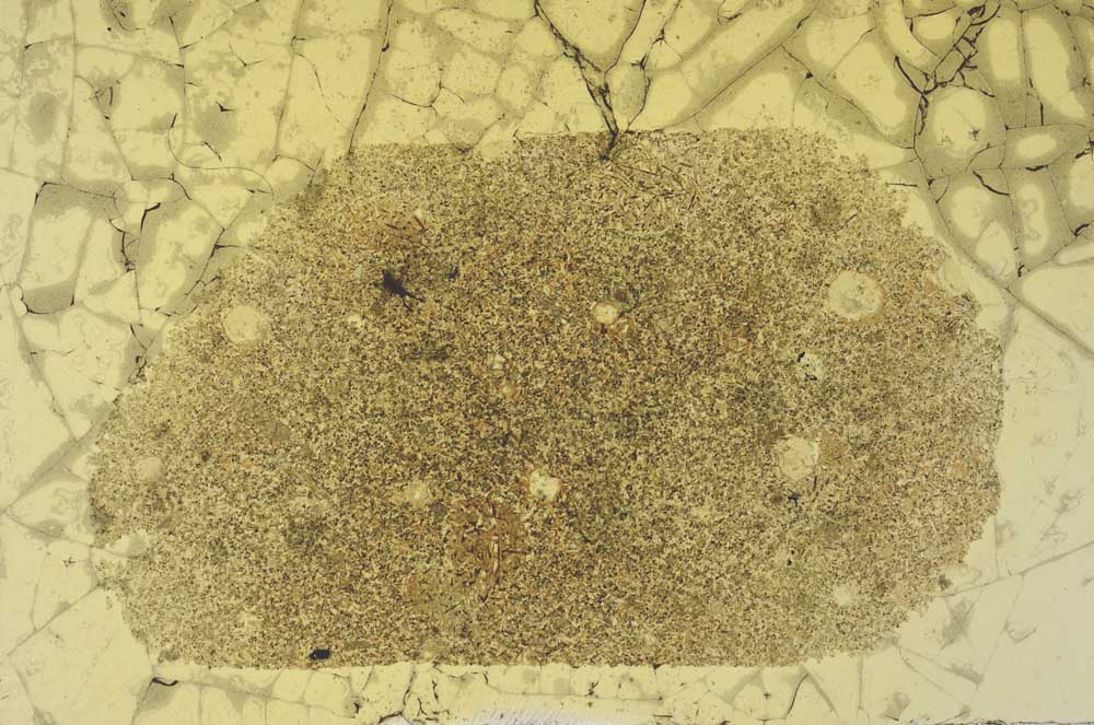 Plane Polarized, S31272