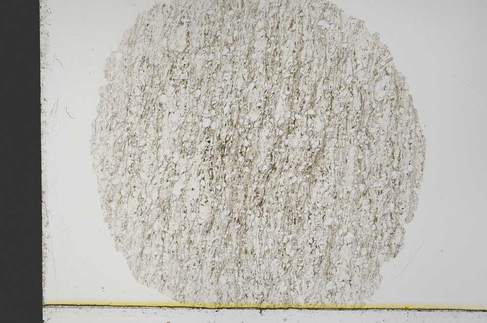 Plane Polarized, S31279