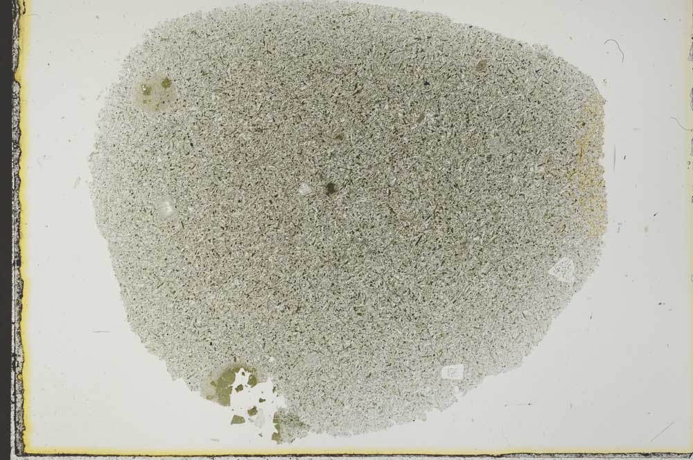 Plane Polarized, S31446
