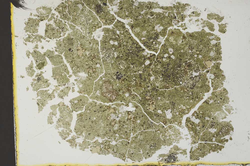 Plane Polarized, S31465