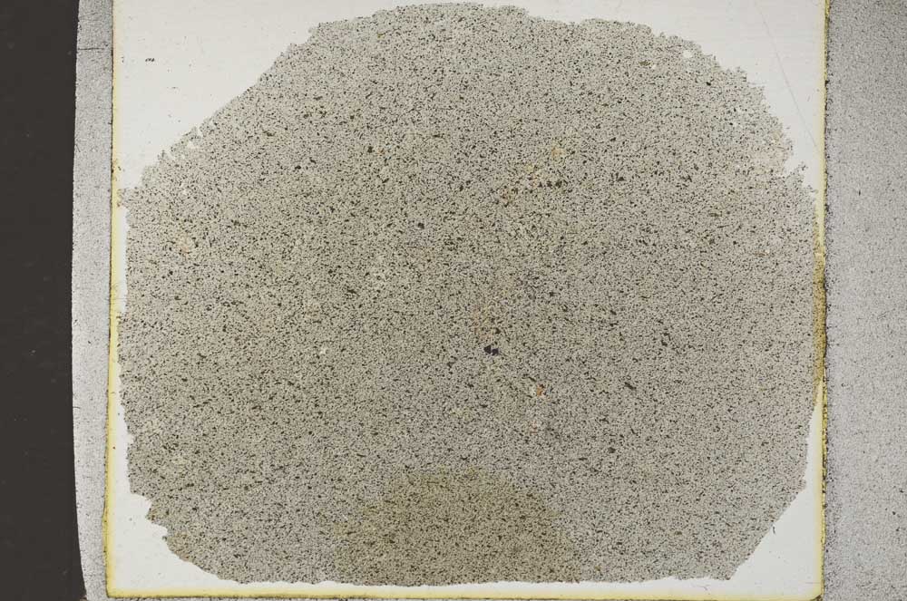 Plane Polarized, S31470