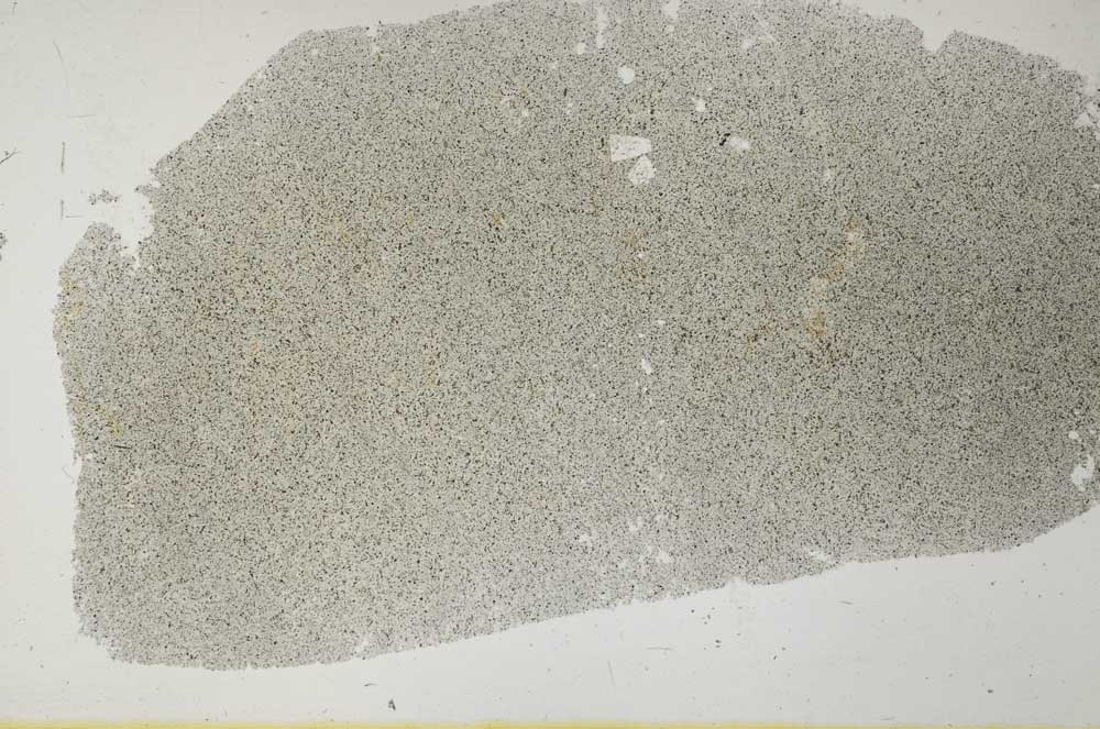 Plane Polarized, S31471