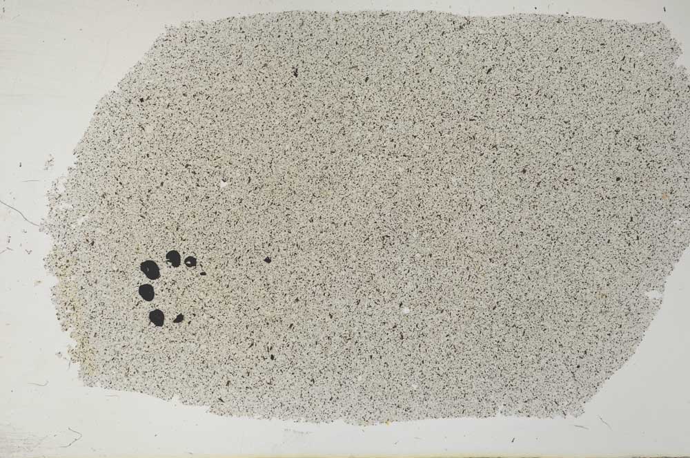 Plane Polarized, S31472