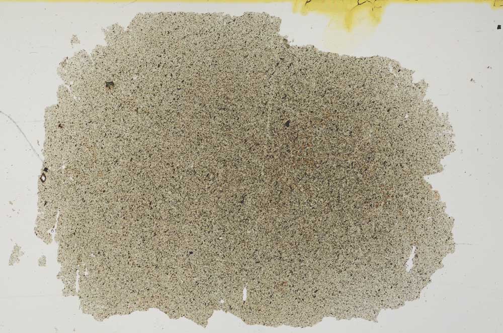 Plane Polarized, S31473