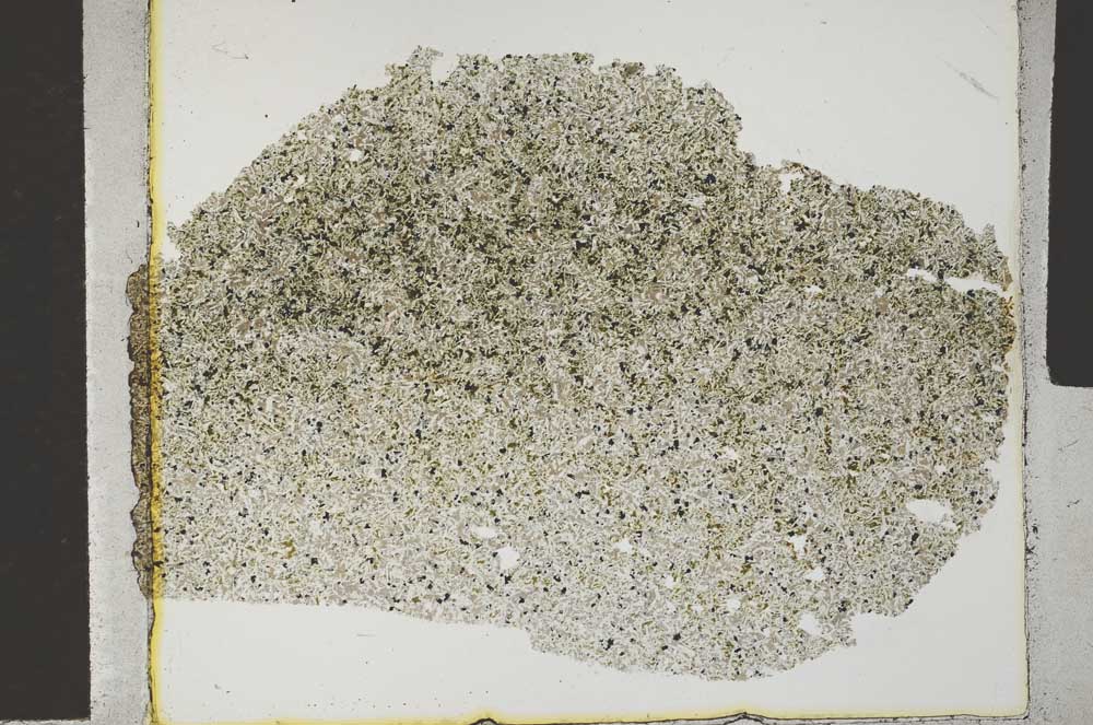 Plane Polarized, S31474