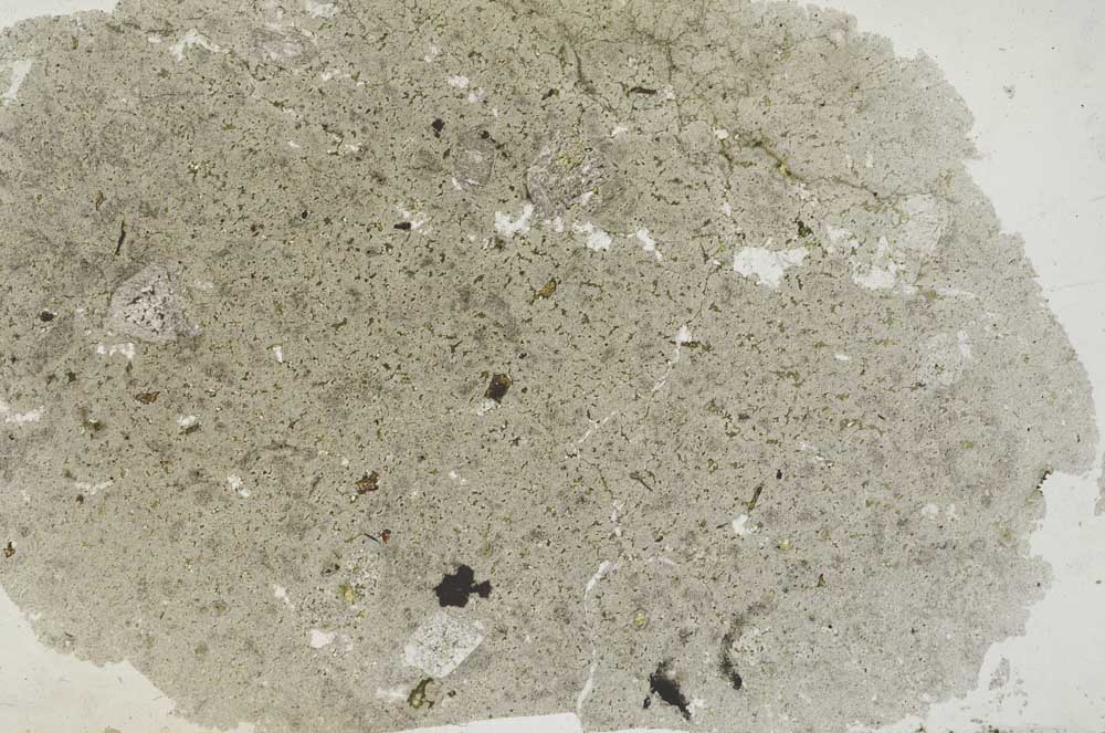 Plane Polarized, S31476