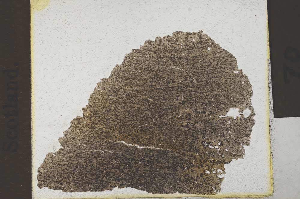 Plane Polarized, S31477/A