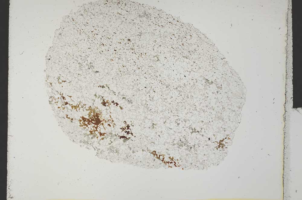 Plane Polarized, S31494