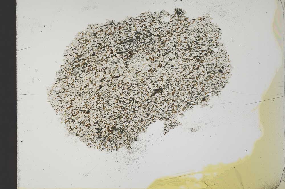 Plane Polarized, S31519