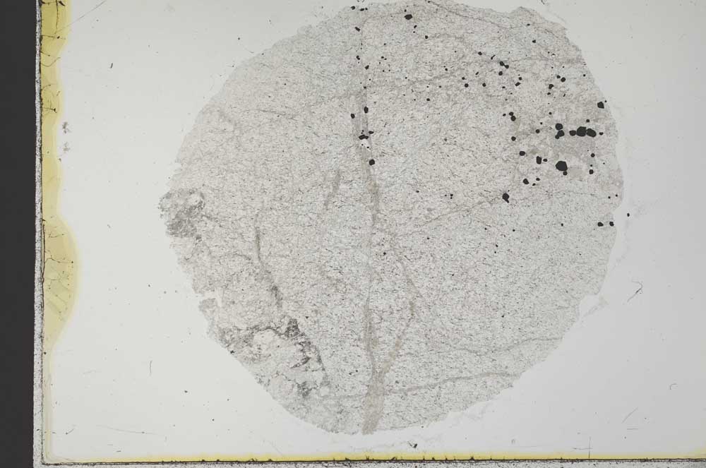Plane Polarized, S31524