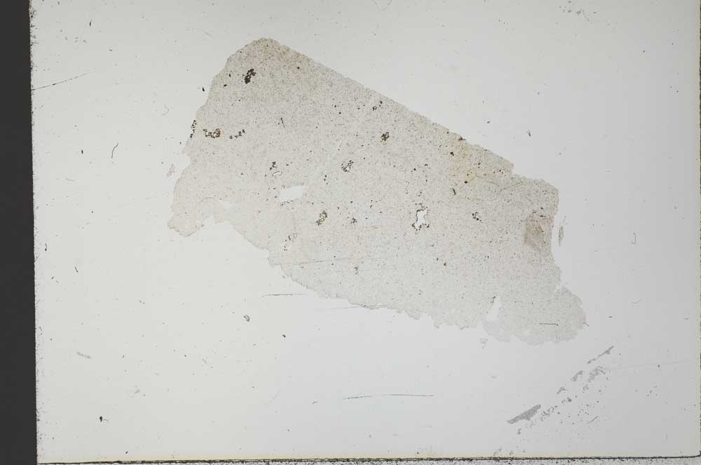 Plane Polarized, S31526