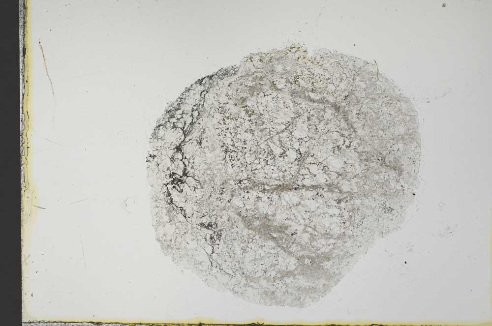 Plane Polarized, S31531