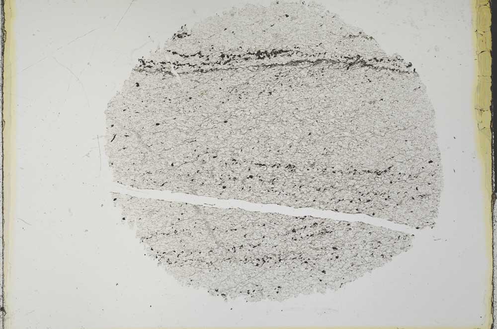 Plane Polarized, S31533