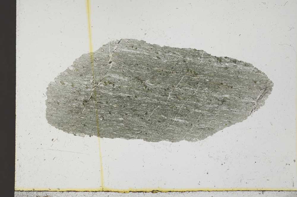 Plane Polarized, S31536