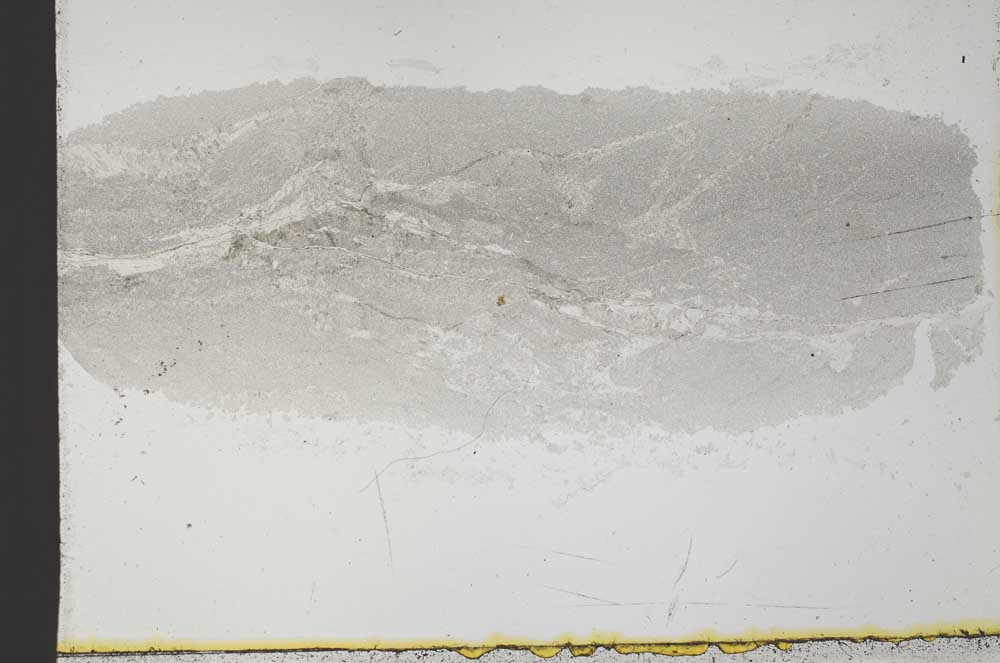Plane Polarized, S31537