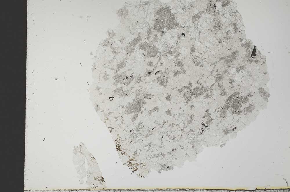 Plane Polarized, S31554