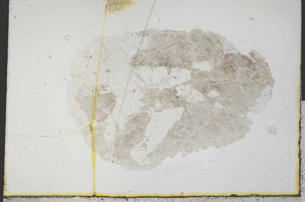 Plane Polarized, S31566