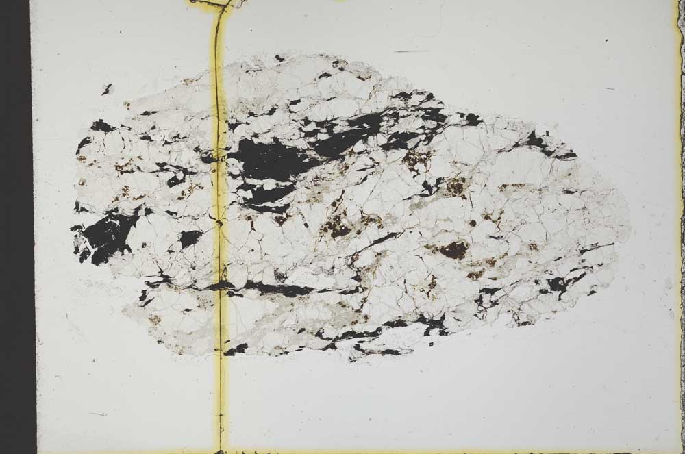 Plane Polarized, S31572