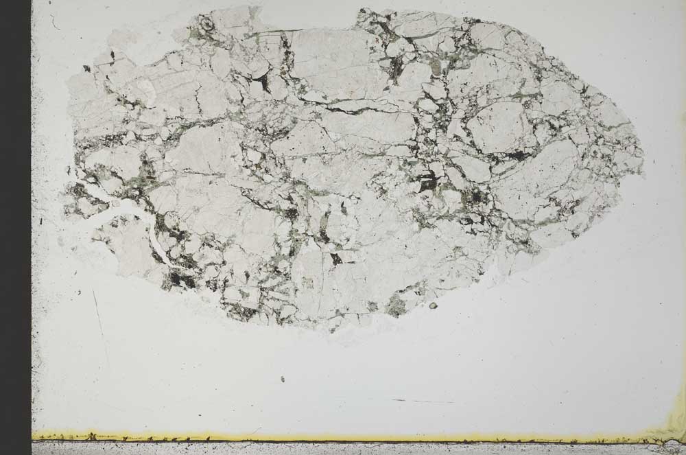 Plane Polarized, S31574