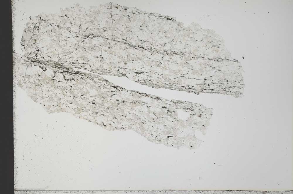 Plane Polarized, S31575
