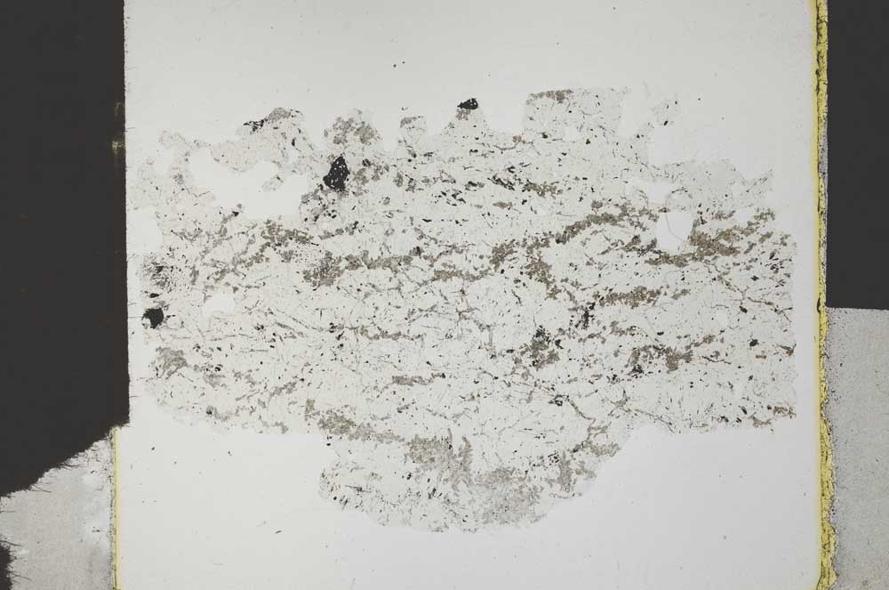 Plane Polarized, S31585