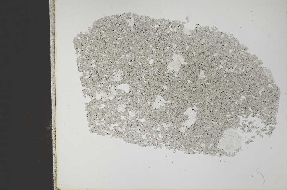 Plane Polarized, S31590
