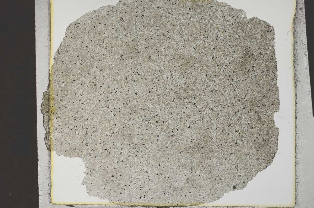 Plane Polarized, S31596