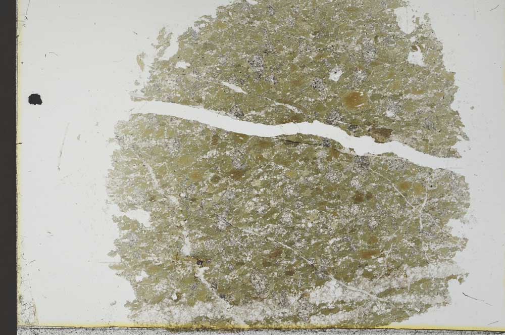 Plane Polarized, S31610